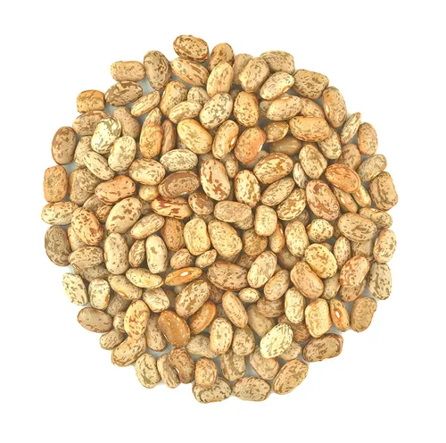 Frijoles pintos enteros secos orgánicos frescos, frijoles pinto, crudos sin OMG veganos a granel (1 libra)