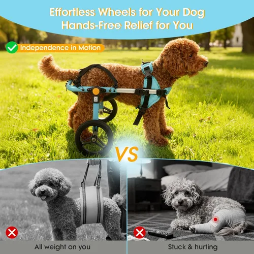 Miniatura 2 de TailWaggers Silla de ruedas para perros para patas traseras Ayuda de movilidad ajustable Ruedas todo terreno