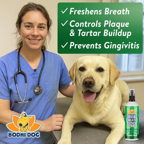 Miniatura 3 de Bodhi Dog Ambientador natural para perros Aliento fresco para perros, sarro y removedor de placa Apoya la salud de los dientes y las encías