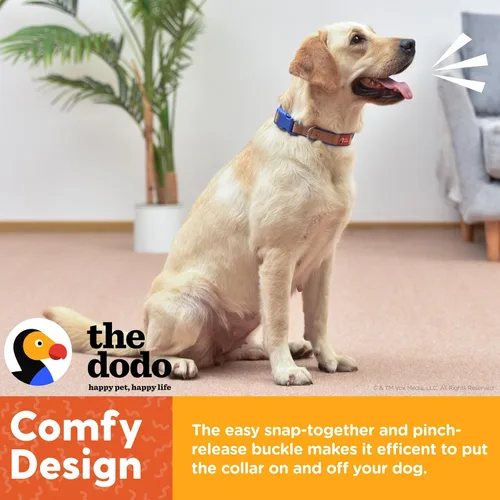 Miniatura 5 de The Dodo Collar de corcho para perro, rayas, talla pequeña; collar de material de corcho para perros, ropa diaria de mascotas; ajustable a presión