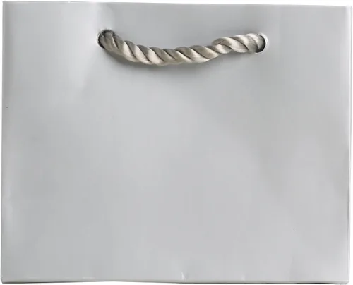 Miniatura 4 de Jillson Roberts Bolsas de regalo pequeñas a granel, negro mate, 120 unidades (BTT921)