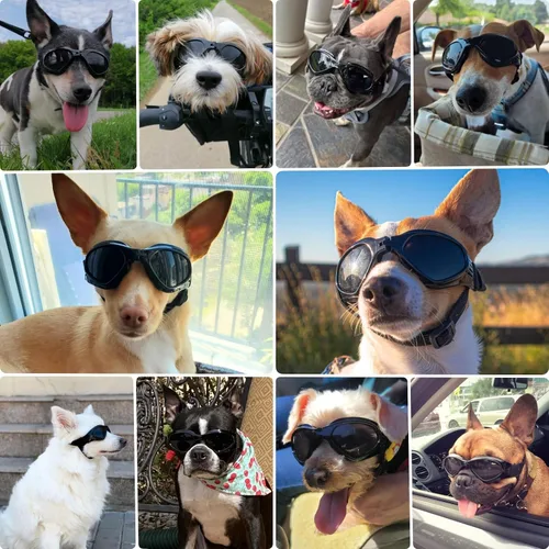 Miniatura 2 de Gafas de sol para perros de raza media, protección ocular para perros medianos, resistentes al viento, color negro