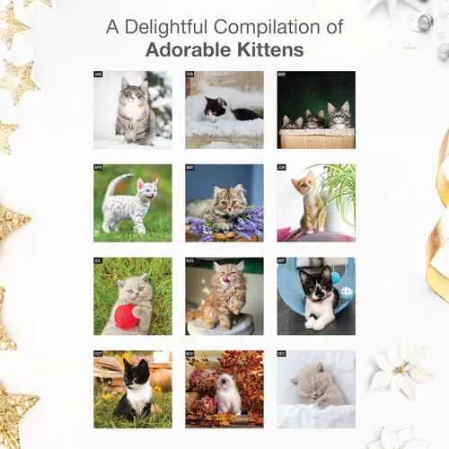 Miniatura 3 de RED EMBER Select - Calendario de pared de gatitos 2026 de 12 meses 12 x 24 pulgadas abierto papel grueso y resistente regalo de vacaciones