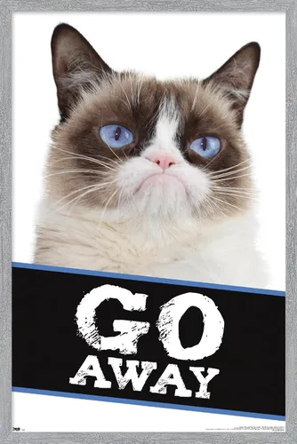 Miniatura 15 de Trends International Grumpy Cat - Póster de pared con texto en inglés «Go Away», 14.725 x 22.375 pulgadas, versión enmarcada de madera de granero