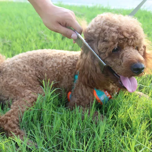 Miniatura 4 de ROPO Herramienta de peine para perros para quitar el pelo enmarañado, peine de desenmascaramiento para mascotas con dientes redondeados y mango