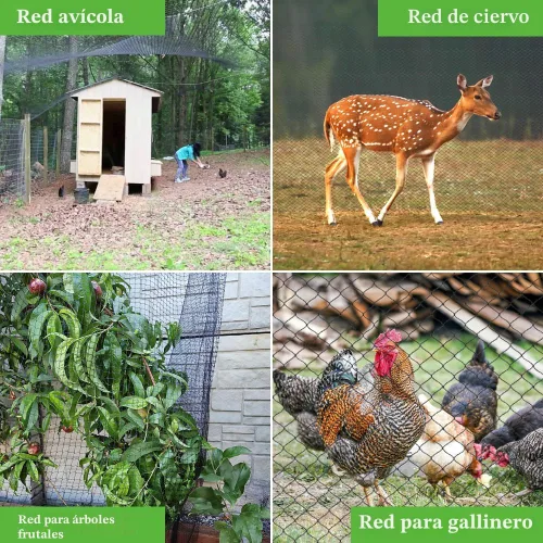 Miniatura 6 de Red para pájaros de 25 x 50 pies, 1 pulgada de malla resistente para jardín, barrera de plagas para plantas, árboles frutales, verduras, red