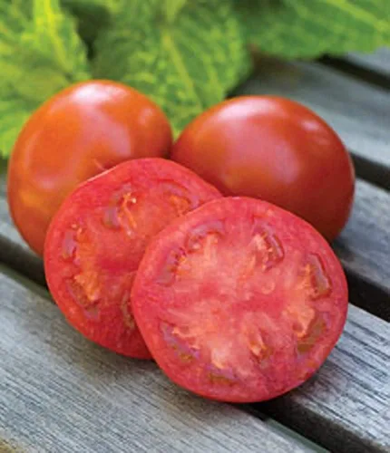 Semillas de tomate sin semillas Sweetie