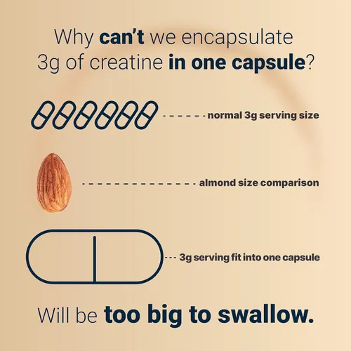 Miniatura 4 de NatureBell Cápsulas de monohidrato de creatina de 3,000 mg por porción, 300 unidades Píldoras de creatina micronizadas y sin sabor Soporte