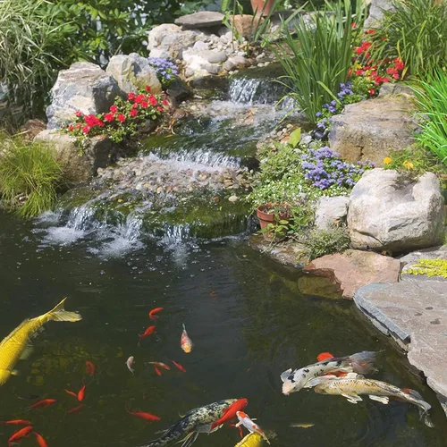 Miniatura 5 de Palitos flotantes Koi Vibrance de TetraPond 16359