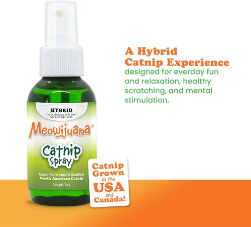 Miniatura 3 de Meowijuana Spray de hierba gatera de alta calidad, fórmula de alta potencia, fórmula natural para dueños de mascotas y hogares con varios gatos