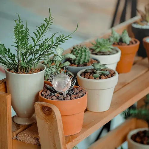 Miniatura 5 de AOPANDA Globos de riego para plantas, inserto de maceta de riego automático, bombillas de riego automático de plástico, gran capacidad, para plantas