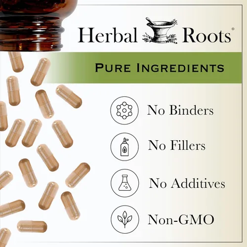 Miniatura 6 de Cápsulas de saúco orgánico Herbal Roots Máxima potencia Hechas con Sambucus orgánico 60 cápsulas veganas