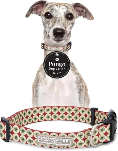 Miniatura 43 de Lucky Love Dog - Collar de perro ajustable con hebilla de fácil clic para los grandes, duradero y cómodo para perros machos y hembras, collar