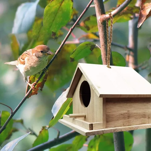 Miniatura 2 de Casas de pájaros para exteriores, casas de pájaros azules para exteriores, colgante de madera, nido de pájaro pintado a mano, decoración de jardín