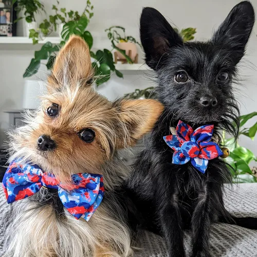 Miniatura 8 de Huxley & Kent Molinete para mascotas 4 de julio Accesorio de collar de primavera para perros/gatos Accesorio de collar de lazo para el día
