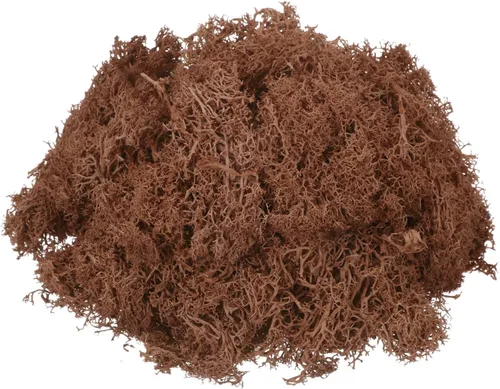 Miniatura 21 de MECCANIXITY Musgo de reno preservado de 4.6 onzas, musgo artificial decorativo gris para plantas en maceta, manualidades de interiores, centros