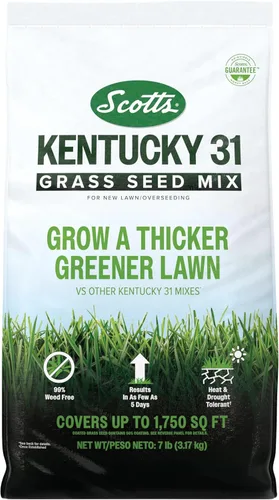 Scotts Mezcla de semillas de césped Kentucky 31 para césped nuevo o sobresiembra, crece más gruesa y verde en comparación con otras mezclas Kentucky