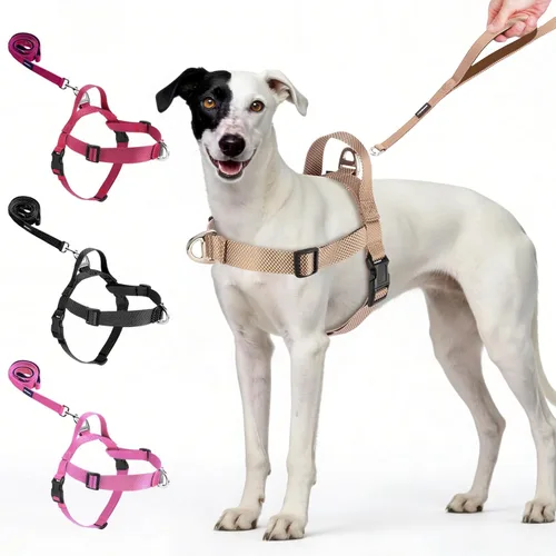 Miniatura 10 de Annchwool Arnés para perro sin tirones con clip frontal y asa de fácil control, arnés ajustable para el vientre y el pecho y correa para perros