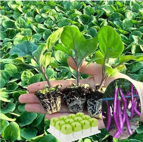Miniatura 4 de 5 bandejas de inicio de semillas, iniciador de semillas de silicona con células emergentes (60 células en total), bandejas de cultivo de plantas