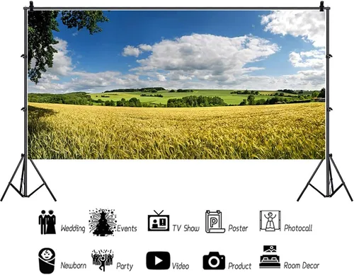 Miniatura 2 de YongFoto Telón de fondo de campo de granja de 8 x 4 pies, campo de trigo rural, prado verde, cosecha, primavera, verano, paisaje natural