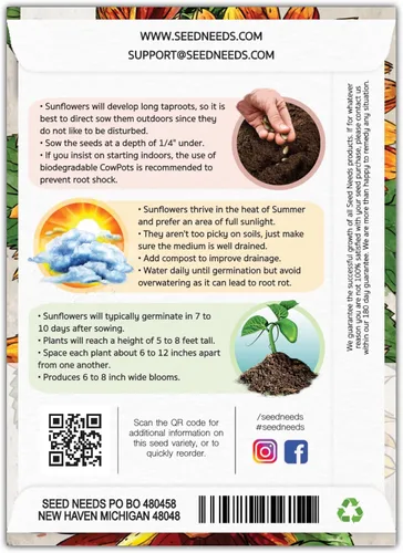 Miniatura 2 de Seed Needs Velvet Queen - Semillas de girasol para plantar flores rojas y naranjas, semillas de flores de polinización abierta para plantar un