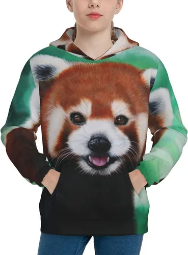 Miniatura 3 de Sudaderas con capucha y estampado 3D para niños y niñas