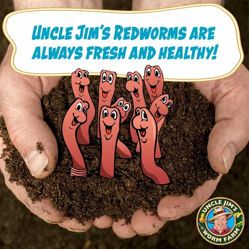 Miniatura 4 de Uncle Jim's Worm Farm Mezcla de gusanos de compostaje Red Wiggler de 250 unidades para suelo de jardín o pesca Paquete de iniciación de gusanos