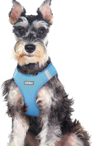 Miniatura 88 de rabbitgoo Arnés para perro pequeño, chaleco de malla suave para cachorros con hebilla de seguridad, arnés reflectante transpirable para mascotas