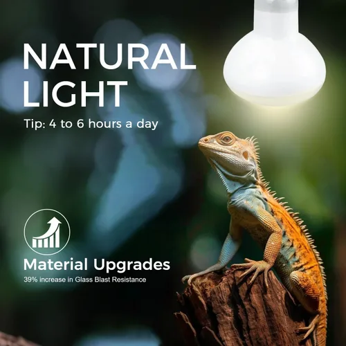 Miniatura 2 de Lámpara de calor para reptiles de 75 W, paquete de 2 bombillas UVA con base E26 para lagartos, tortugas, serpientes y anfibios