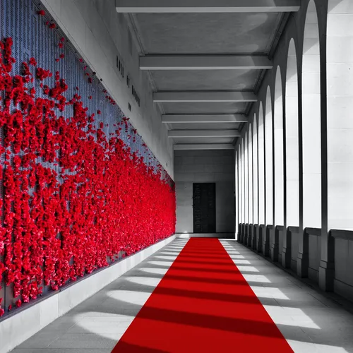 Miniatura 5 de EZLucky Corredor de Alfombra Roja para Fiestas, 2.6 x 15 pies, Tela No Tejida de Fieltro de 130 GSM, Alfombra Roja de Hollywood para Eventos