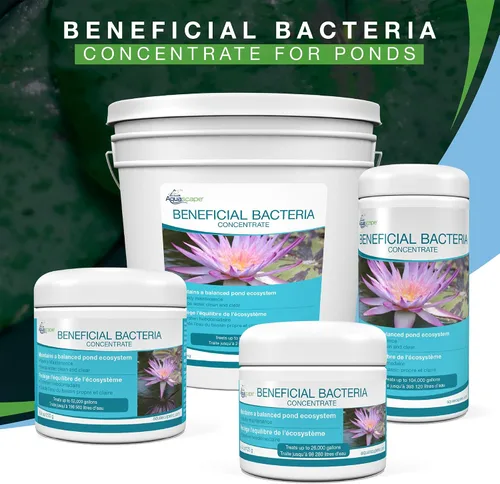 Miniatura 7 de Aquascape - Bacterias secas y beneficiosas para las características del estanque y del agua., Blanco
