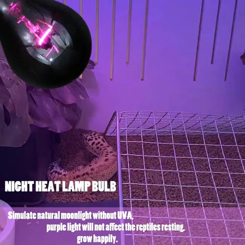Miniatura 4 de Lámpara de calor de reptil de 75 W, bombilla de calor nocturno simulada naturaleza luz de luna, bombillas moradas, anfibios para foco de luz de sol