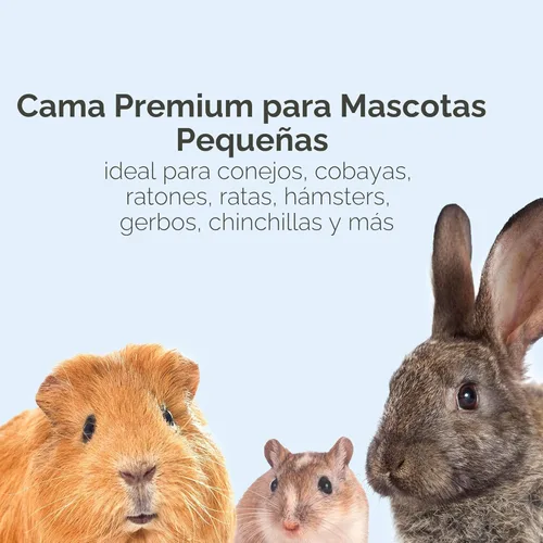 Miniatura 4 de Ropa de cama limpia y tierna para animal pequeño Kaytee, Blanco