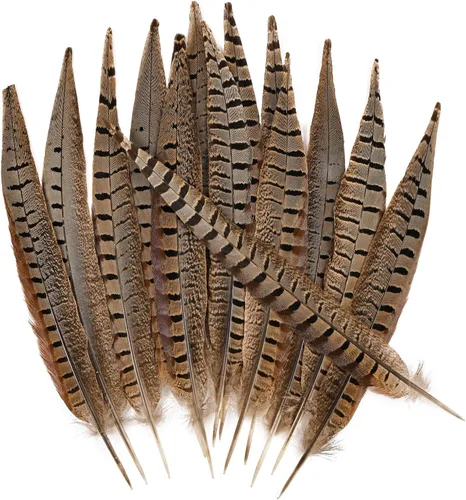 Miniatura 14 de THARAHT 24 plumas de faisán femenino, plumas naturales de 6 a 8 pulgadas, 5.9-7.9 in para manualidades, hogar, boda, fiesta, actuación, decoración