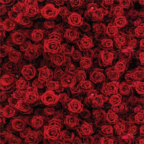 Miniatura 29 de HTV4U Vinilo de transferencia de calor para el día de San Valentín (puntos negros y rojos, 12 pulgadas x 1 yarda), bonito patrón de lunares 3D