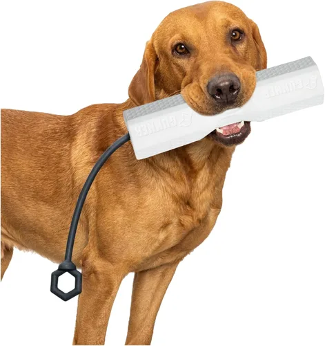 GUNNER Juguete de parachoques para perros con cuerda ajustable, juguetes interactivos para perros y simulador de entrenamiento para perros, "Pila"