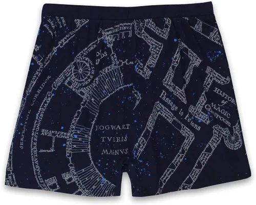 Miniatura 2 de Harry Potter Hogwarts Houses - Calzoncillos tipo bóxer para hombre
