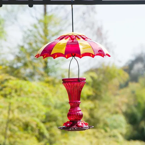 Miniatura 6 de Beserie - Bafle de comedero de pájaros de 14 pulgadas con foso de hormigas, cubierta protectora de lluvia para comedero de pájaros grande con Rojo