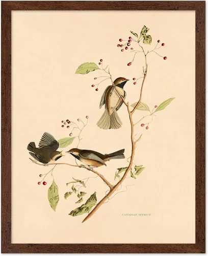 Miniatura 16 de Poster Master Póster Vintage de Plantas Cultivadas - Impresión Botánica Retro - Arte de Flores - Arte de Plantas - Regalo para Hombres y Mujeres