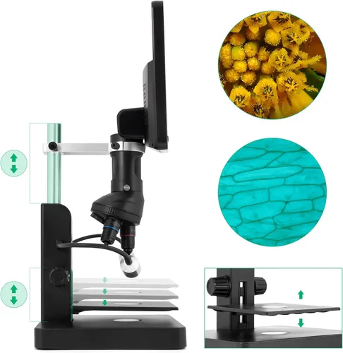 Miniatura 6 de JL246P Microscopio digital LCD de 3 lentes de 7 pulgadas 1000X, microscopio biológico con diapositivas preparadas para adultos y niños, 12MP