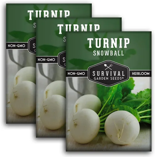 Miniatura 11 de Semillas de nabo para plantar Snowball White Variedad Heirloom No OGM Vegetal de raíz de temporada fresca para jardines de otoño y primavera