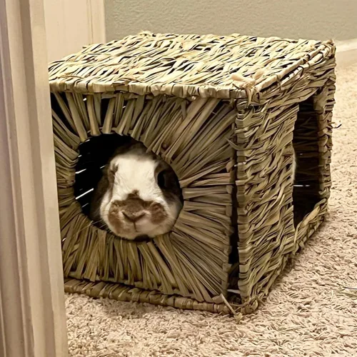 Miniatura 5 de LWINGFLYER Casa de hierba de conejo, casa de hierba para dormir, juguetes masticables para animales pequeños, conejo, hámster, chinchillas, guinea