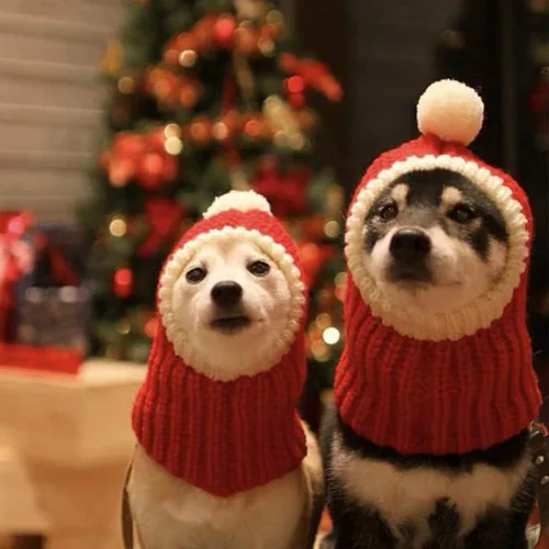 Miniatura 2 de POPETPOP Sombrero de Navidad para perro, cálido gorro de invierno para cachorros, grueso, pequeño, de punto, para gato, Navidad, diadema, ropa