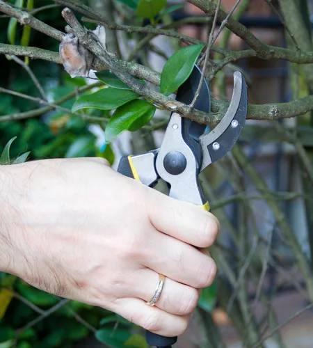 Miniatura 5 de Tijeras de podar de derivación de 8 pulgadas para jardinería, tijeras de jardín ultra afiladas resistentes con agarre ergonómico antideslizante