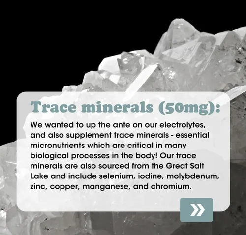 Miniatura 7 de Fringe Mezcla de electrolitos y minerales, sal marina pura del océano para rehidratación, cloruro de potasio, malato de magnesio para tensión