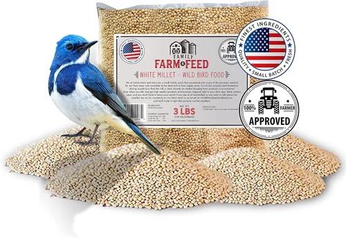 Miniatura 12 de Cuatro estaciones Mezcla de campo Alimento clásico para aves silvestres Pájaro cantor del patio trasero 4 libras Mezcla (Country Mix)