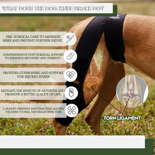 Miniatura 2 de Rodillera ajustable para perro para desgarro del ligamento cruzado anterior y rótula luxante, soporte para pierna trasera, displasia de cadera
