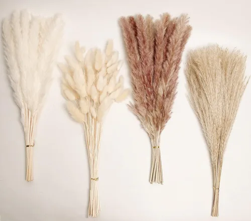 Decoración de hierba de pampa seca natural, 100 piezas de hierba de pampa que contiene colas de conejo blancas flores secas, ramo de hierba de caña