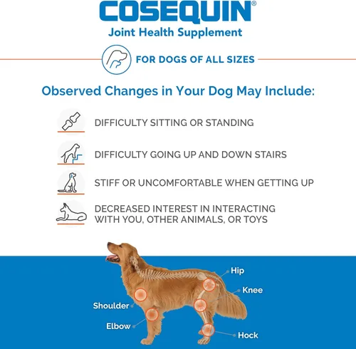 Miniatura 3 de Tabletas masticables para perros de Nutramax Cosequin DS