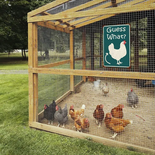 Miniatura 5 de Adivina Qué Divertido Gallinero Cartel de Hojalata, Póster de Trasero de Pollo, Arte de Pared de Cocina de Granja, Accesorios de Gallinero